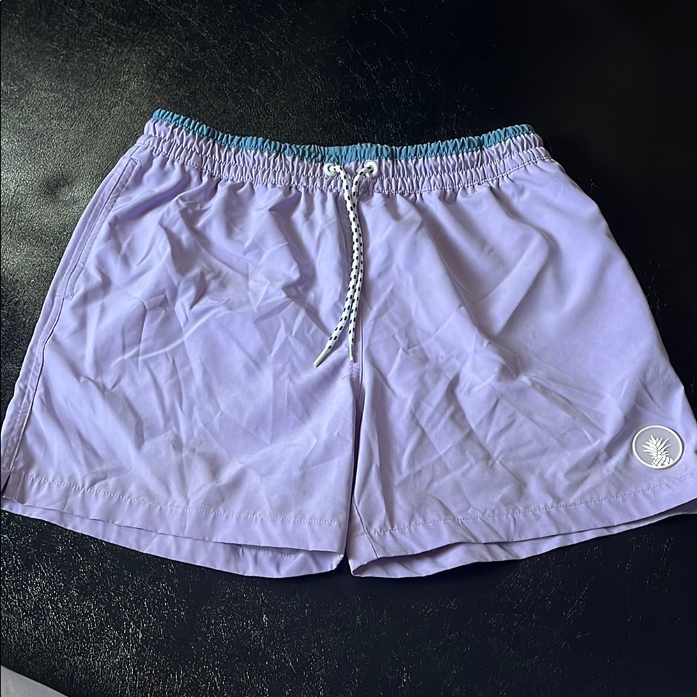 Chubbies Teal and Lavender Swim Shorts